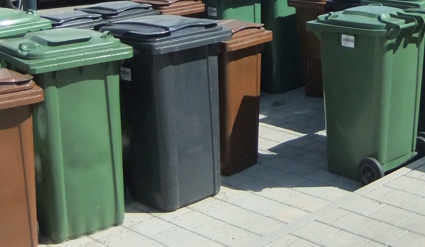 Unterschiedliche Mülltonnen im Enzkreis